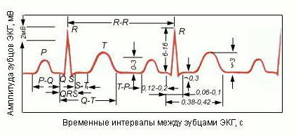 Электрокардиография