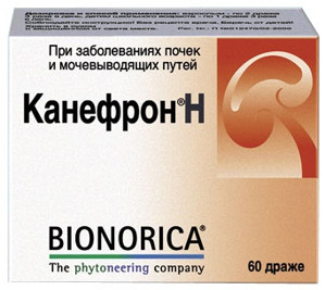 Канефрон Н